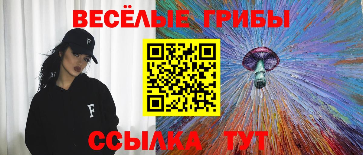 Галлюциногенные грибы мицелий  Вход с VPN  Гатчина 